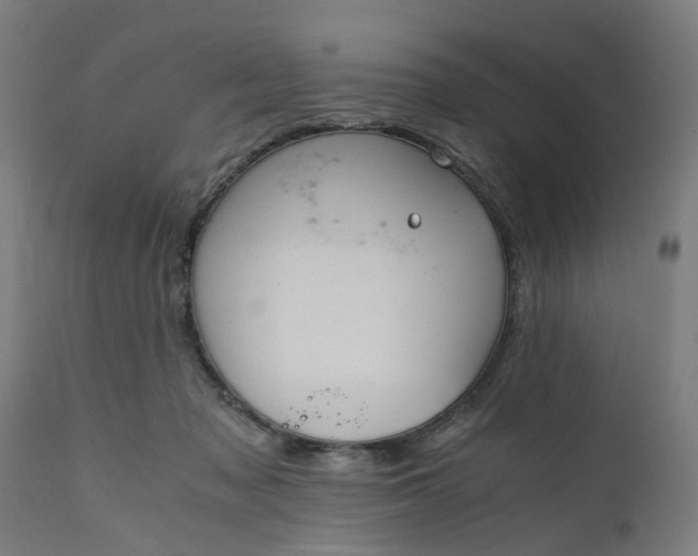 X0000110690317200906261350