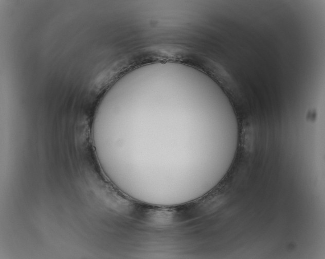 X0000110690318200906261350