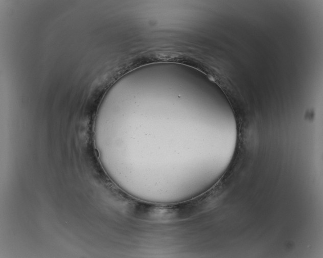 X0000110690319200906261350