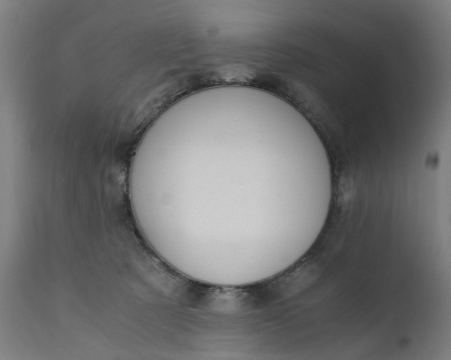 X0000110690321200906261350