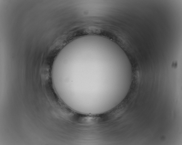 X0000110690323200906261350