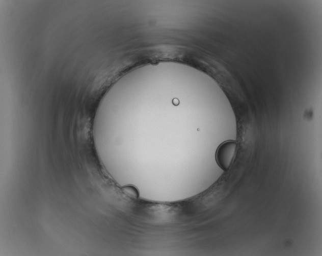 X0000110690326200906261350