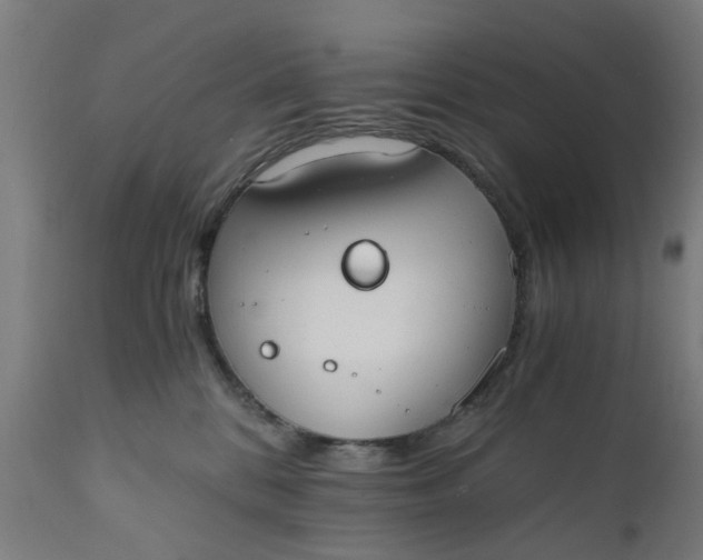 X0000110690328200906261350