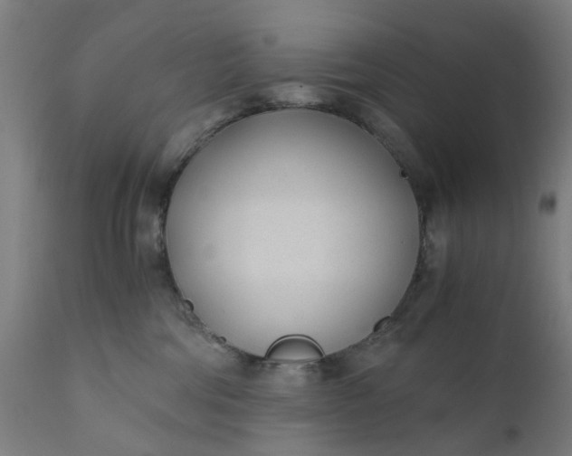 X0000110690330200906261350