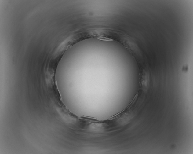 X0000110690332200906261350