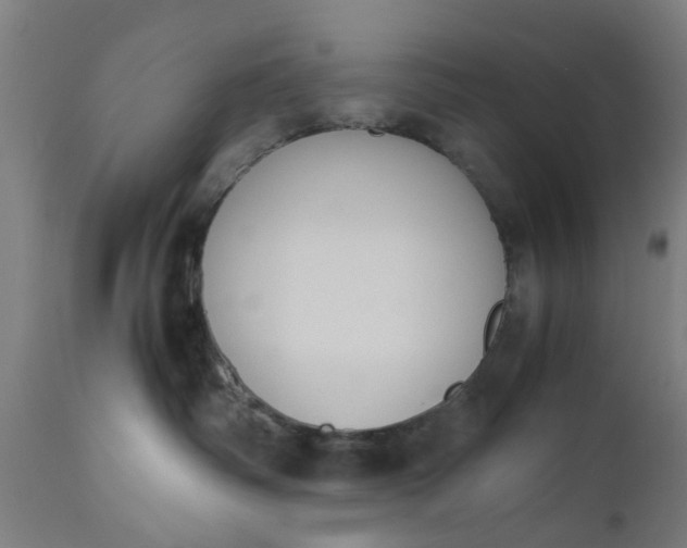 X0000110690334200906261350