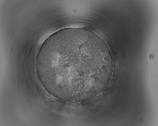 X0000110690337200906261349