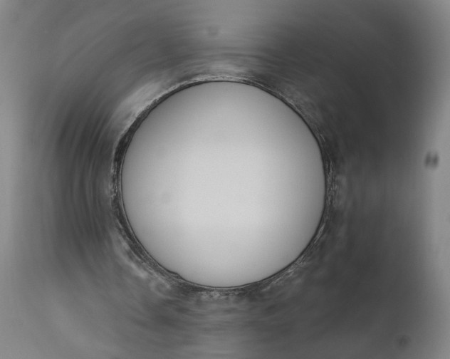 X0000110690338200906261349