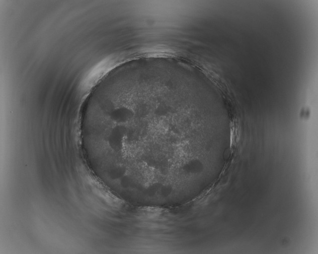 X0000110690339200906261349