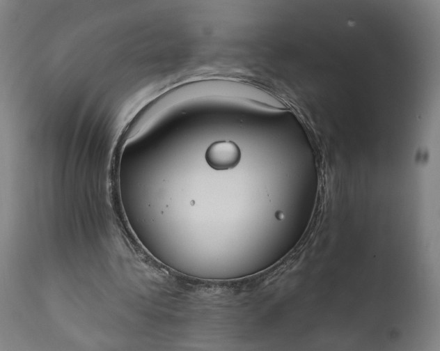 X0000110690340200906261349