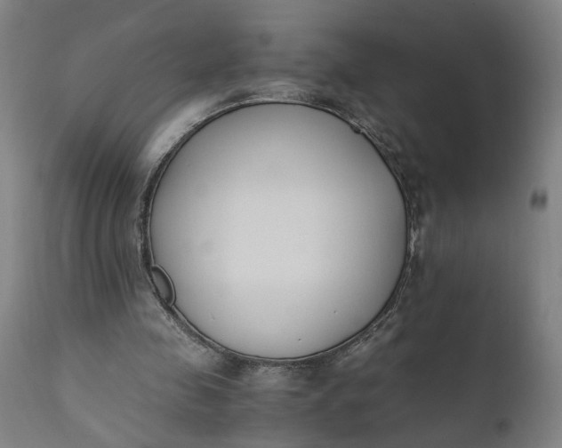 X0000110690341200906261349