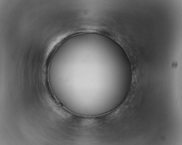 X0000110690342200906261349