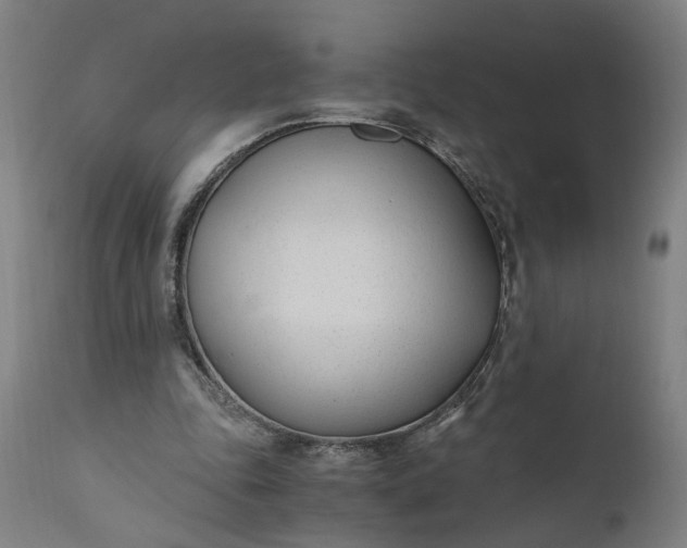 X0000110690343200906261349