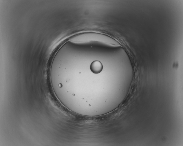 X0000110690344200906261349