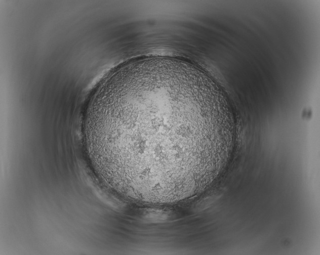 X0000110690347200906261349