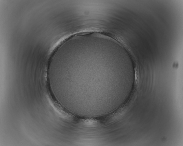 X0000110690348200906261349