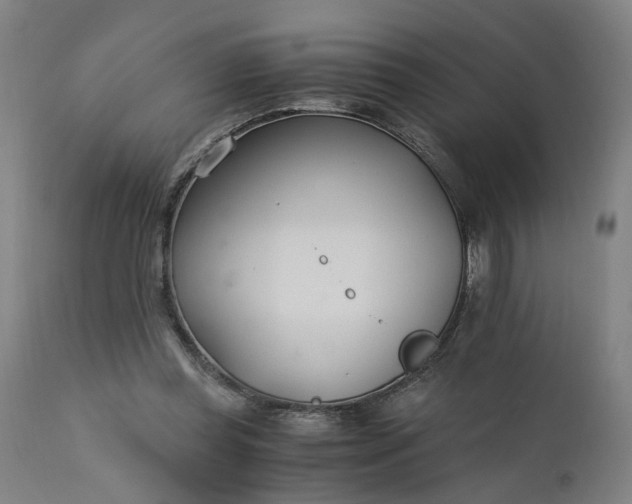 X0000110690349200906261349