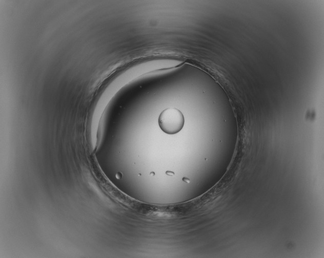 X0000110690352200906261349