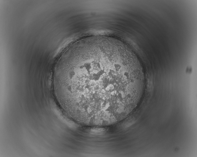 X0000110690357200906261349