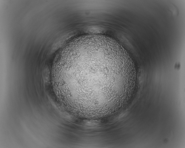 X0000110690359200906261349