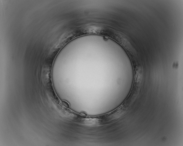 X0000110690363200906261349