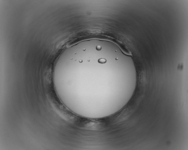 X0000110690364200906261349