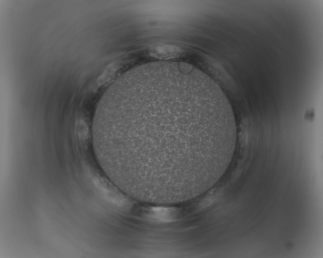 X0000110690371200906261350