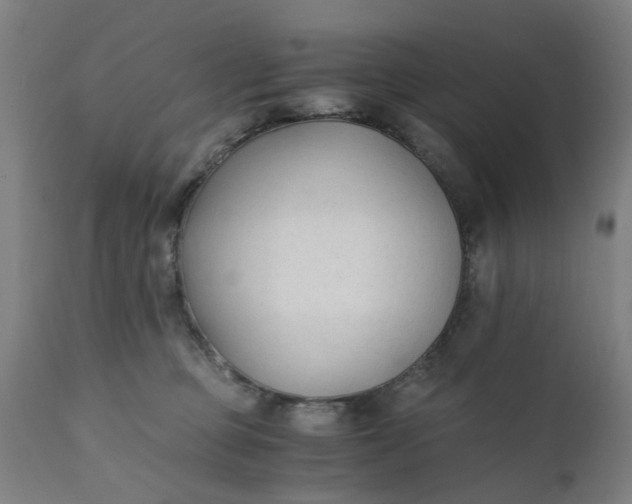 X0000110690373200906261350