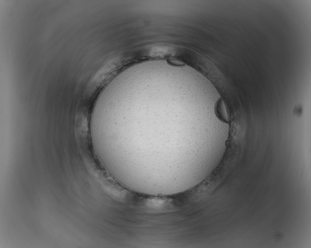 X0000110690375200906261350