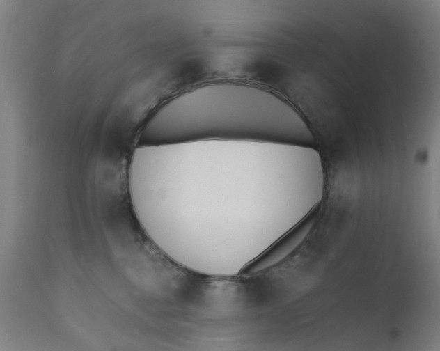 X0000110690376200906261350