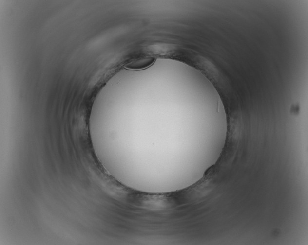 X0000110690377200906261350