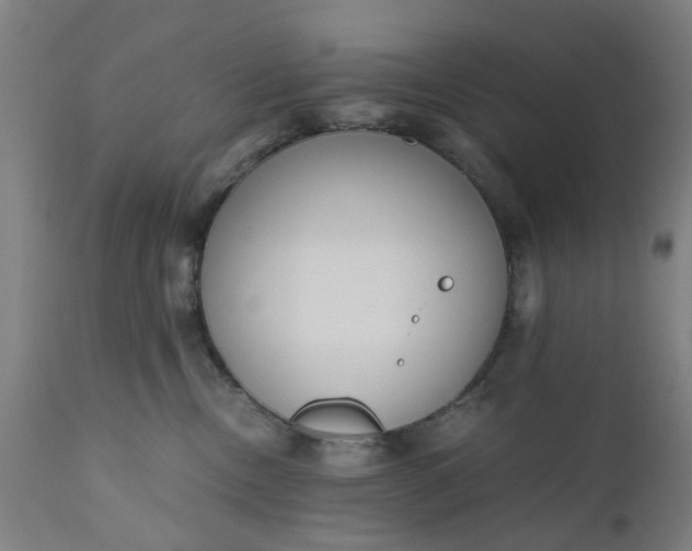 X0000110690378200906261350