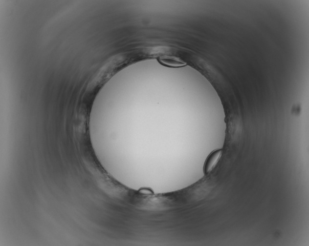 X0000110690379200906261350