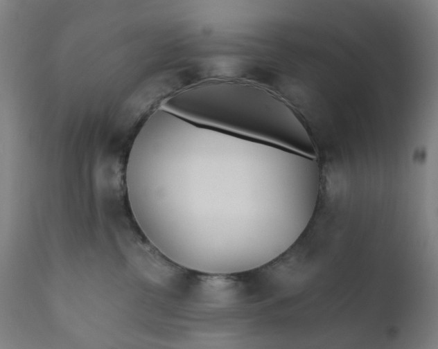 X0000110690380200906261350