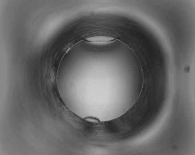 X0000110690382200906261350