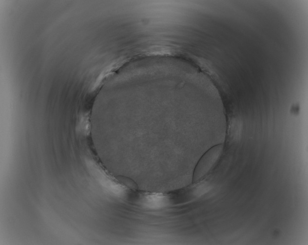 X0000110690383200906261350