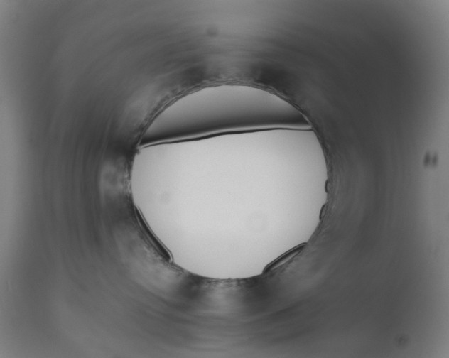 X0000110690384200906261350