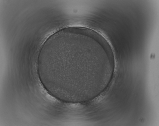 X0000110690385200906261349