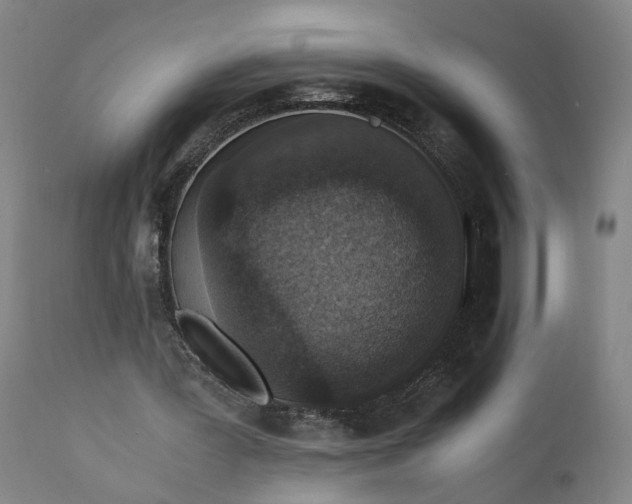 X0000110690387200906261349