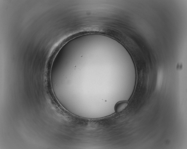 X0000110690388200906261349