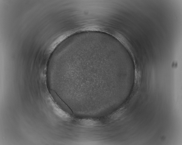 X0000110690389200906261349