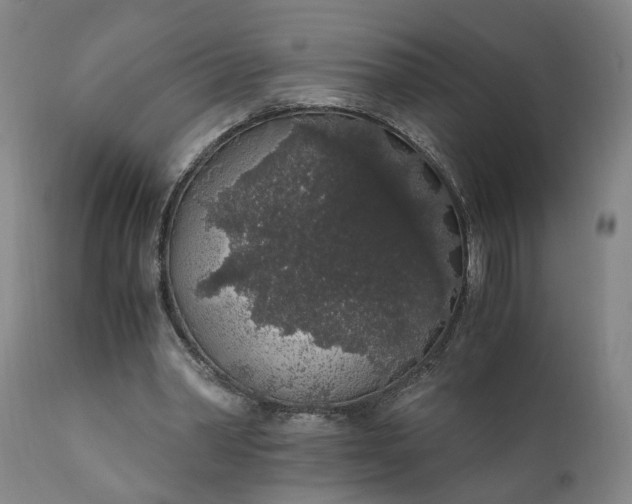 X0000110690390200906261349