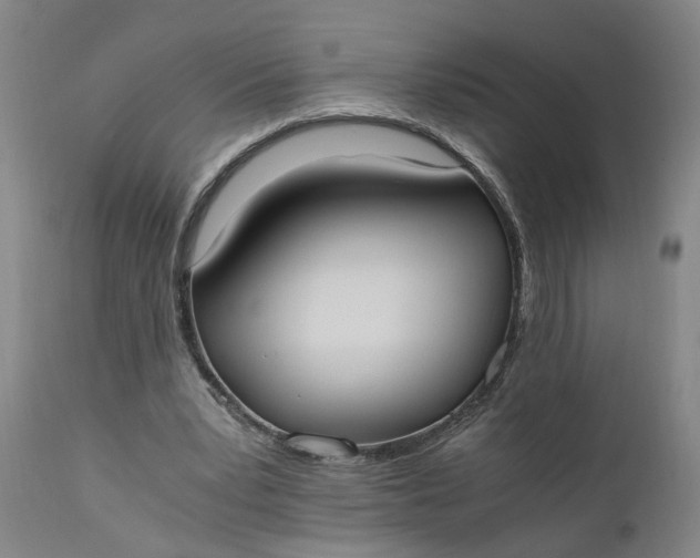 X0000110690391200906261349