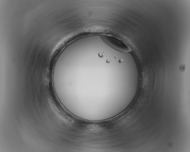 X0000110690392200906261349