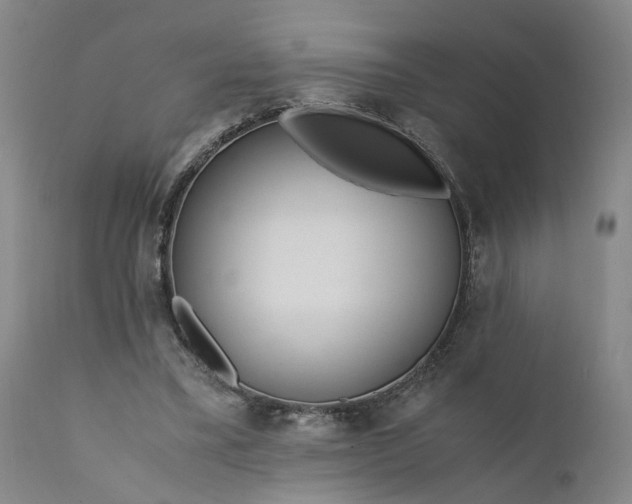 X0000110690395200906261349