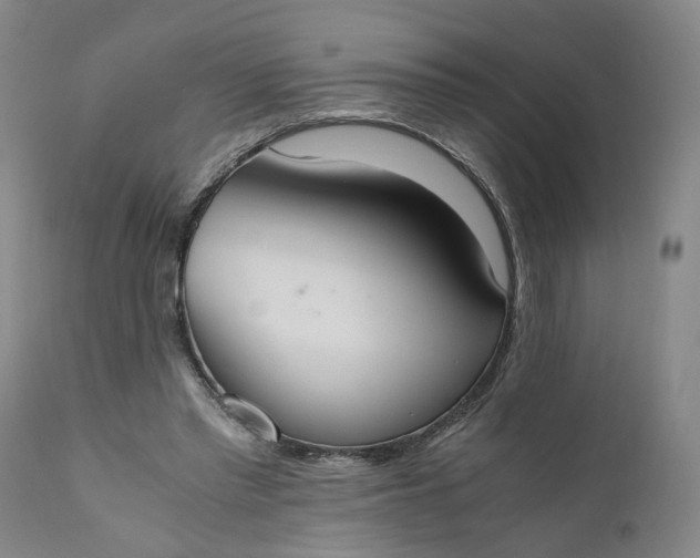 X0000110690397200906261349