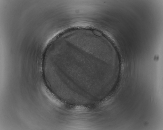 X0000110690399200906261349