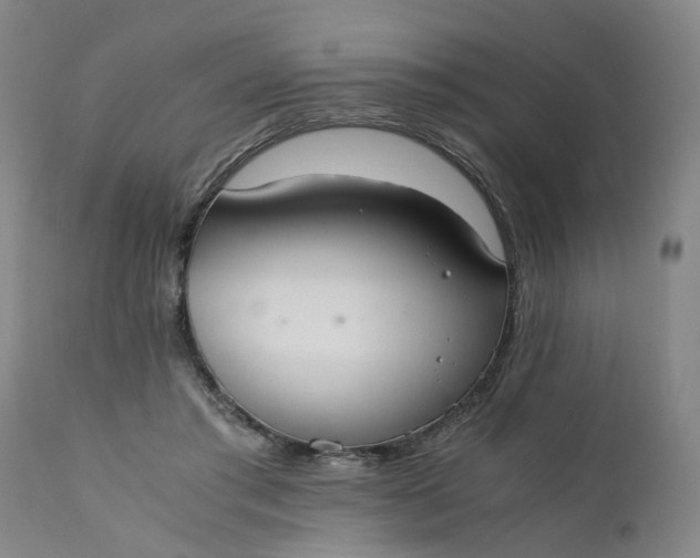 X0000110690405200906261349