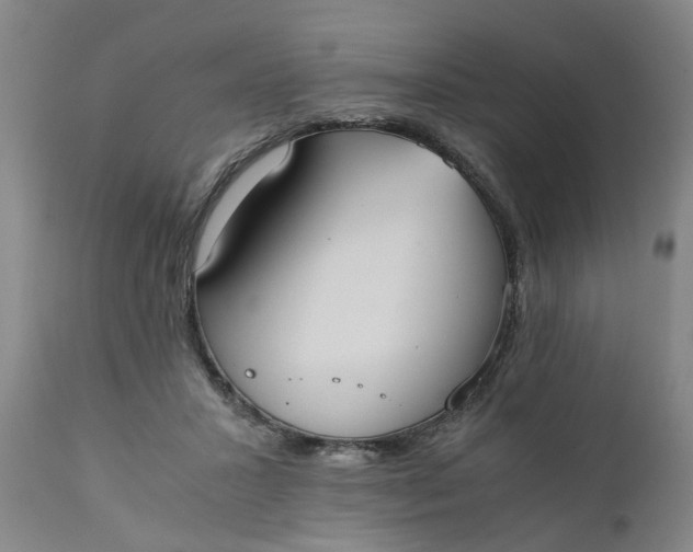 X0000110690407200906261349