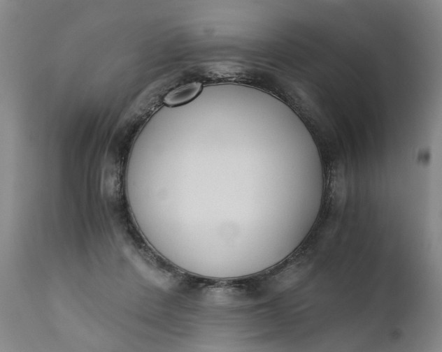 X0000110690408200906261349